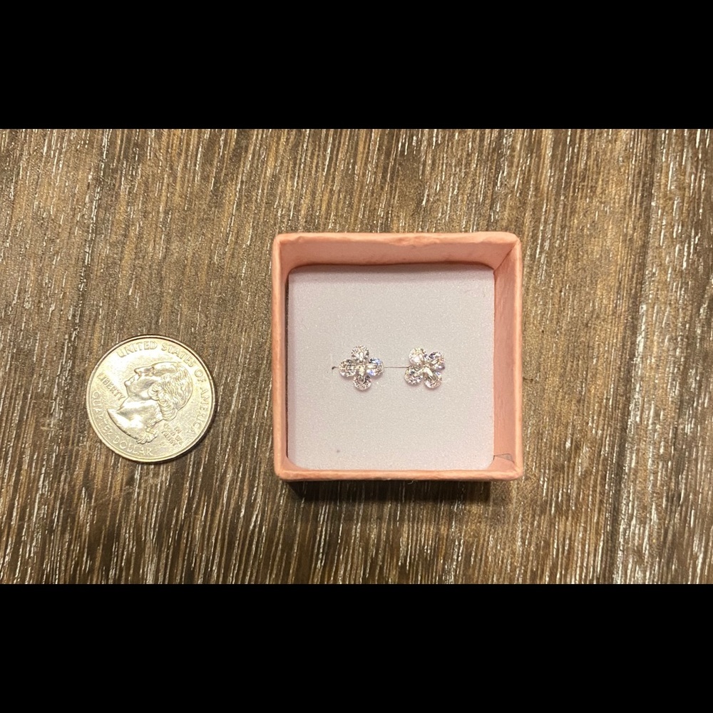 Sterling Silver Flower earrings